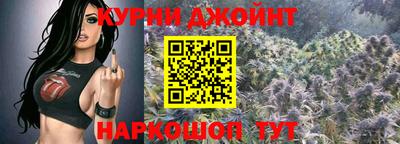 спиды Заводоуковск