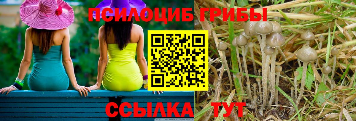 Псилоцибиновые грибы Magic Shrooms Лысьва